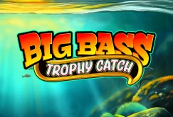 mini-banner-slide